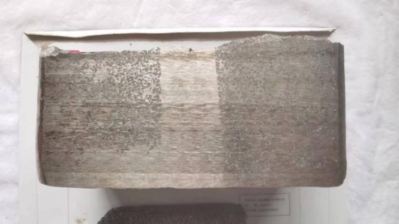 plate hammers plate hammers